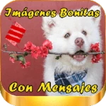 imagenes bonitas con mensajes android application logo